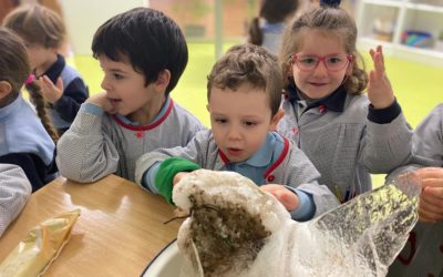 MES DE ENERO EN INFANTIL