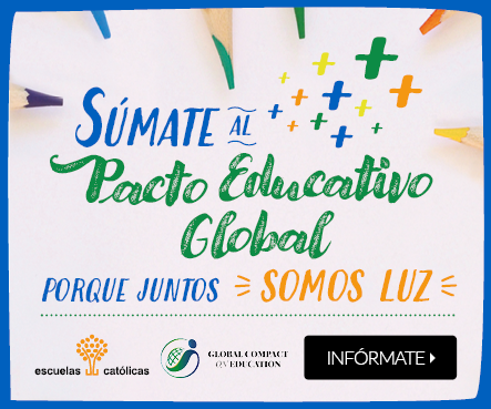 Banner PEG varios tamaños