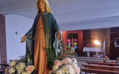 PEREGRINACIÓN MARIANA MIP